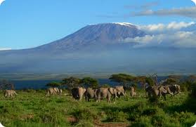 Mount Kenya Climbing